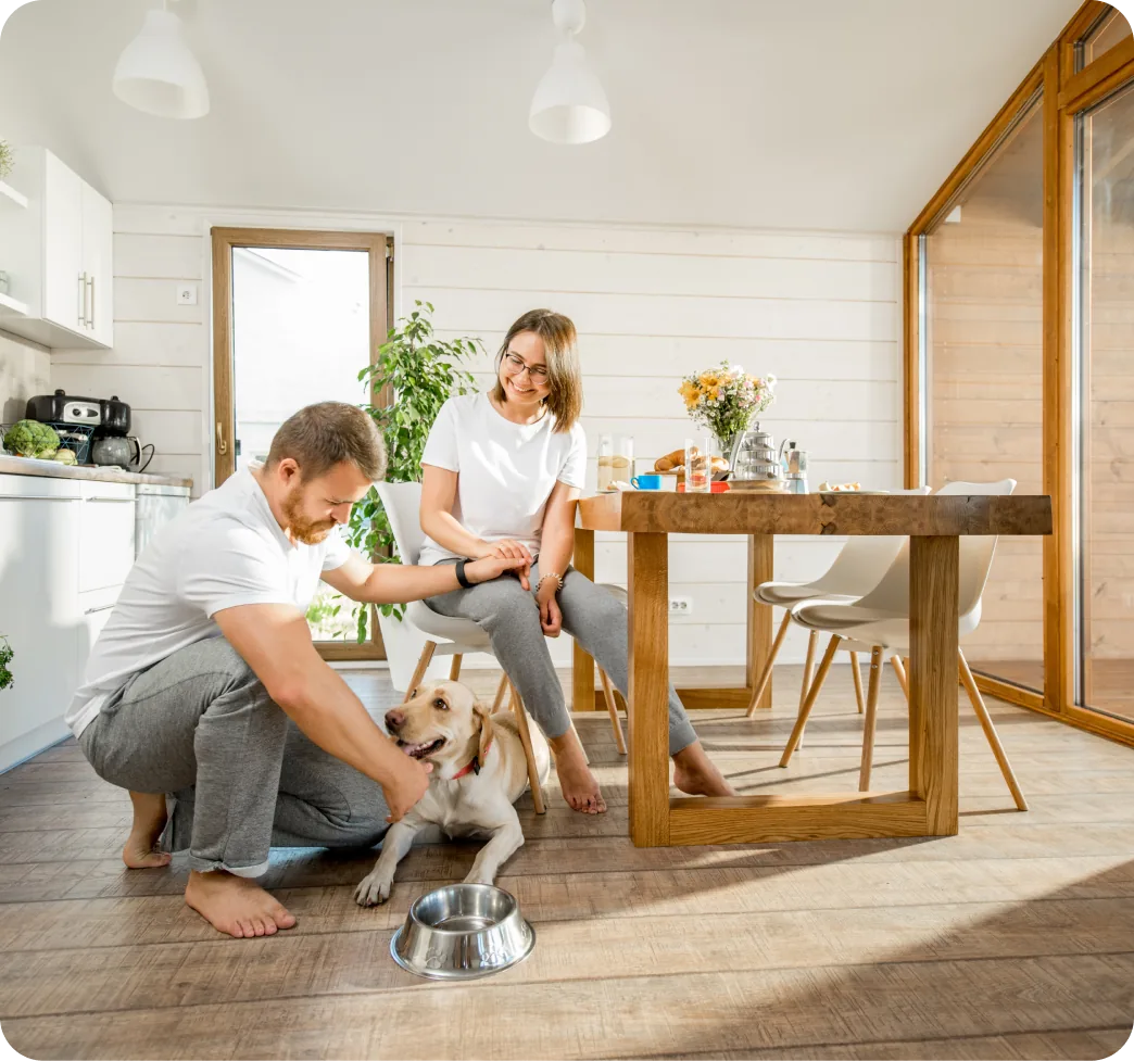 A man, woman, and dog in a modern kitchen with professionally installed lighting.